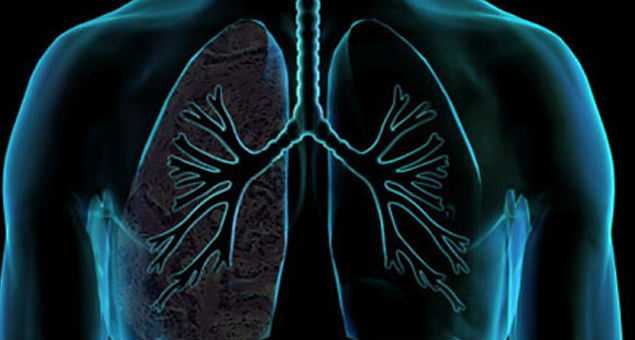 Jornal Campeão: “Figueira Respira” faz diagnóstico de doenças respiratórias