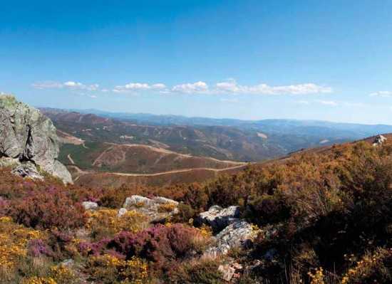 Jornal Campeão: Beira Serra aprova avisos com 1,4 milhões de ajudas ao sector agrícola