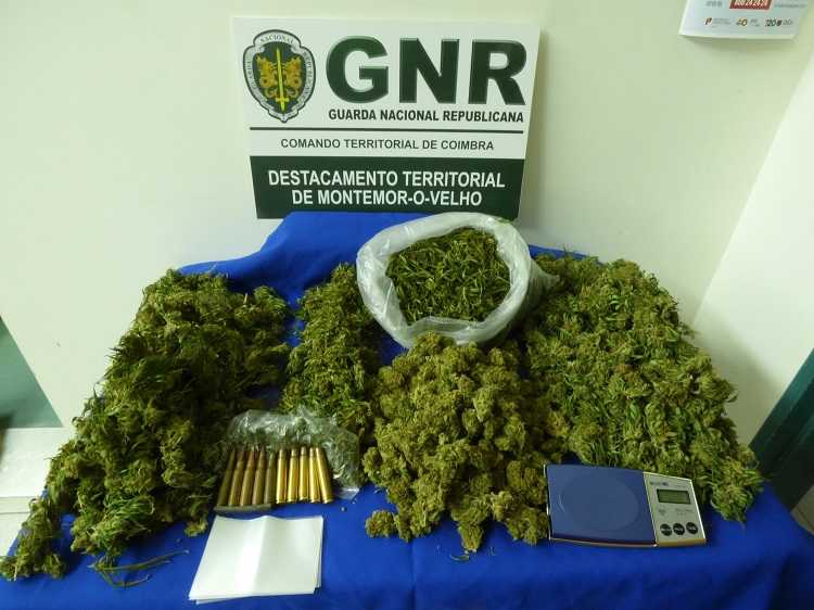 Jornal Campeão: Casal detido por tráfico de droga na Figueira da Foz