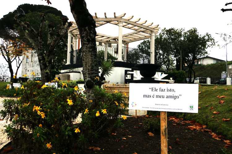 rebentos_esperanca (2)