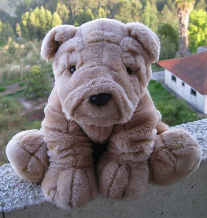 Jornal Campeão: Missão RIA desperta sorrisos em centenas de crianças e jovens