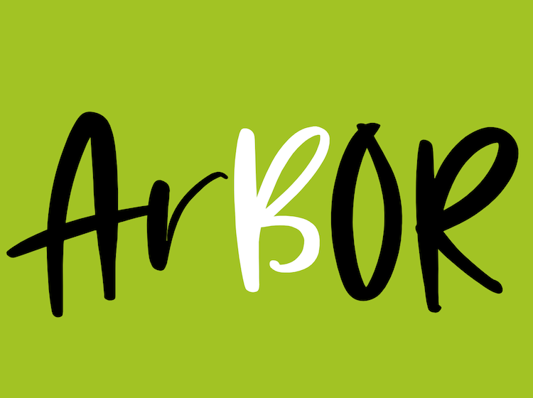 Jornal Campeão: Associação nasce em Arganil para regenerar comunidade afectada pelos fogos