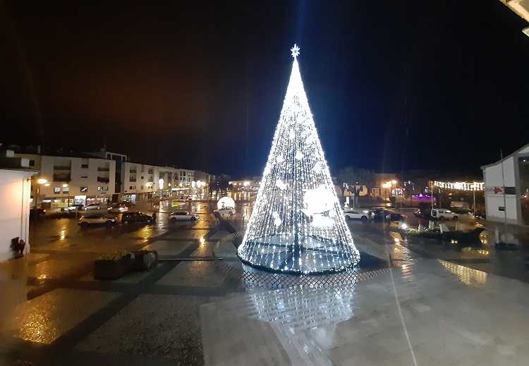 Jornal Campeão: Cantanhede vai atribuir mais de 500 cabazes de Natal a famílias carenciadas