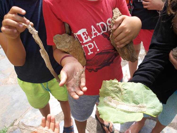 Jornal Campeão: “Férias Activas Natal 2020” na Lousã não se realizam