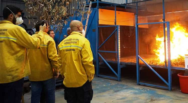 Jornal Campeão: Projecto da UC conquista 10 milhões de euros para estudar incêndios florestais