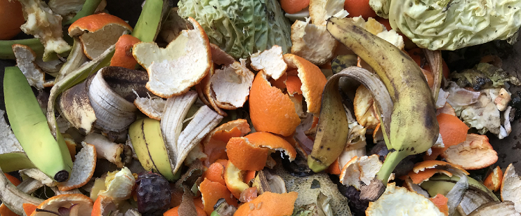 Jornal Campeão: Condeixa prepara-se para recolha selectiva de biorresíduos