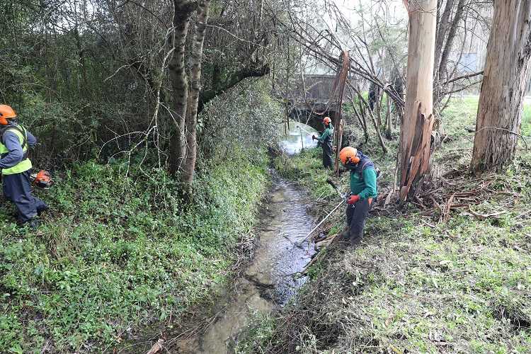 Jornal Campeão: Câmara de Cantanhede promove limpeza e desobstrução de linhas de água
