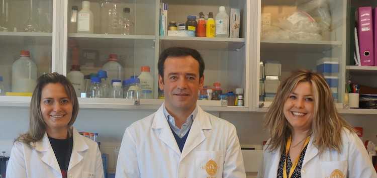 Jornal Campeão: UC: Consumo continuado de mirtilo tem forte impacto no fígado