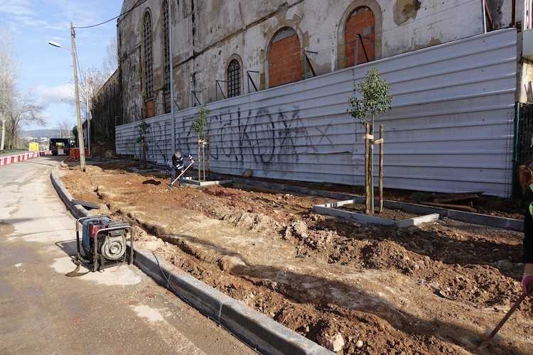 Jornal Campeão: Obras na Av. Fernão de Magalhães avançam e condicionam trânsito