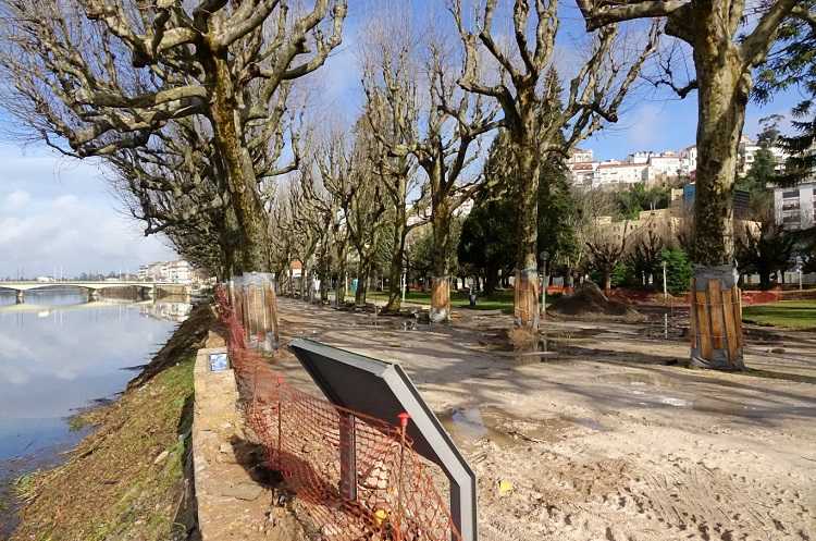 Jornal Campeão: CMC diz que requalificação vai colocar mais árvores no Parque Manuel Braga