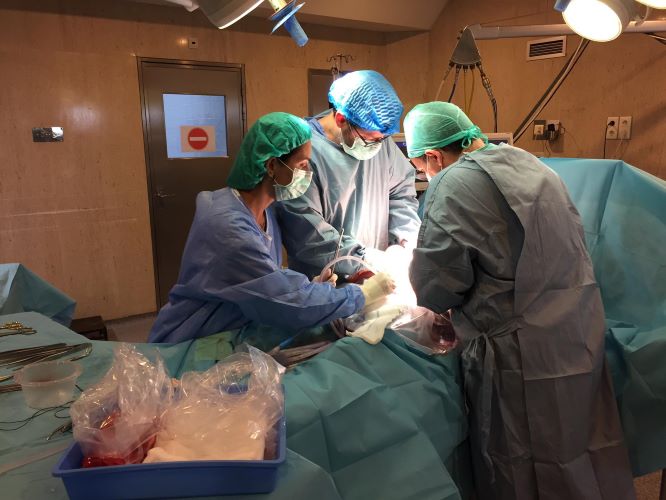 Jornal Campeão: CHUC deu início ao programa de doação de órgãos em paragem circulatória