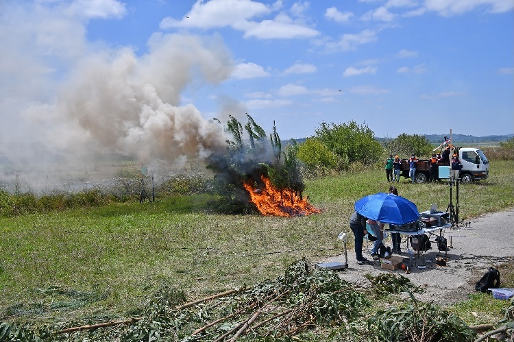 Jornal Campeão: Investigadores realizaram ensaios de comportamento do fogo em Montemor-o-Velho