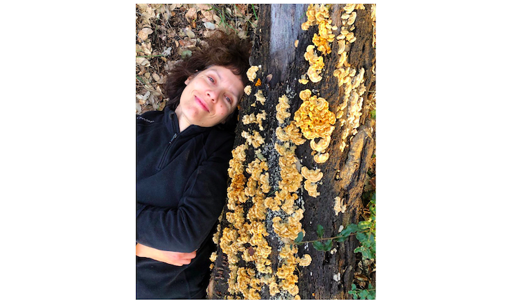 Jornal Campeão: UC: Cientistas defendem inclusão de fungos nas metas globais