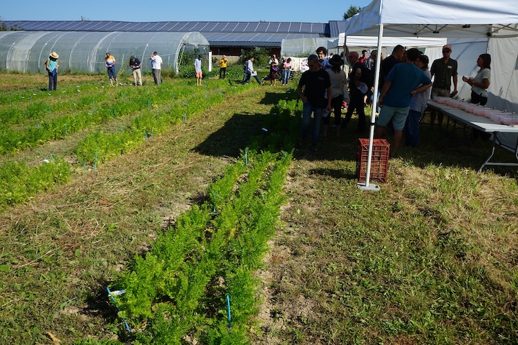 Jornal Campeão: ESAC participou no Congresso Mundial de Agricultura Biológica