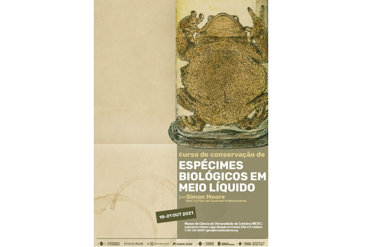 Jornal Campeão: Museu da Ciência promove recuperação de espécimes biológicos em meio líquido