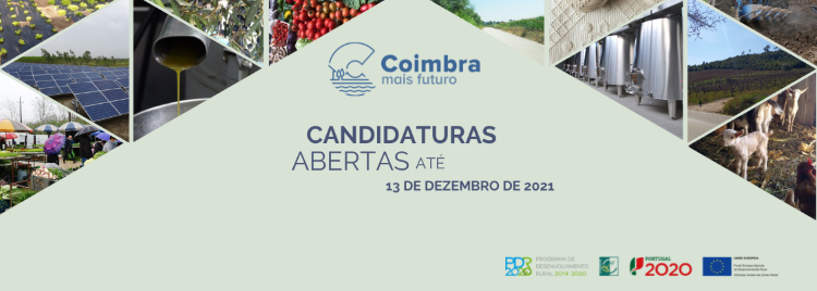 Jornal Campeão: CoimbraMaisFuturo tem candidaturas para financiamento da actividade agrícola