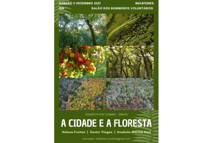 Jornal Campeão: Cidadãos por Coimbra com debate sobre “A Cidade e a Floresta”