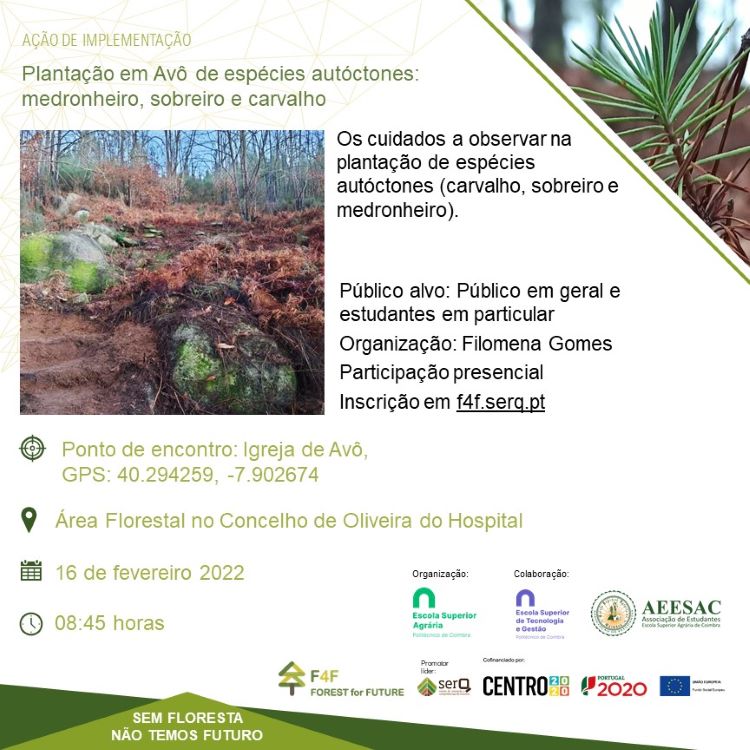 Jornal Campeão: Agrária de Coimbra planta espécies autóctones em Avô