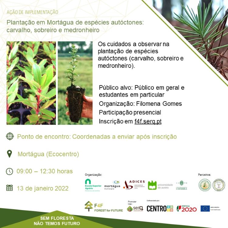 Jornal Campeão: ESAC e Município de Mortágua promovem plantação de espécies autóctones