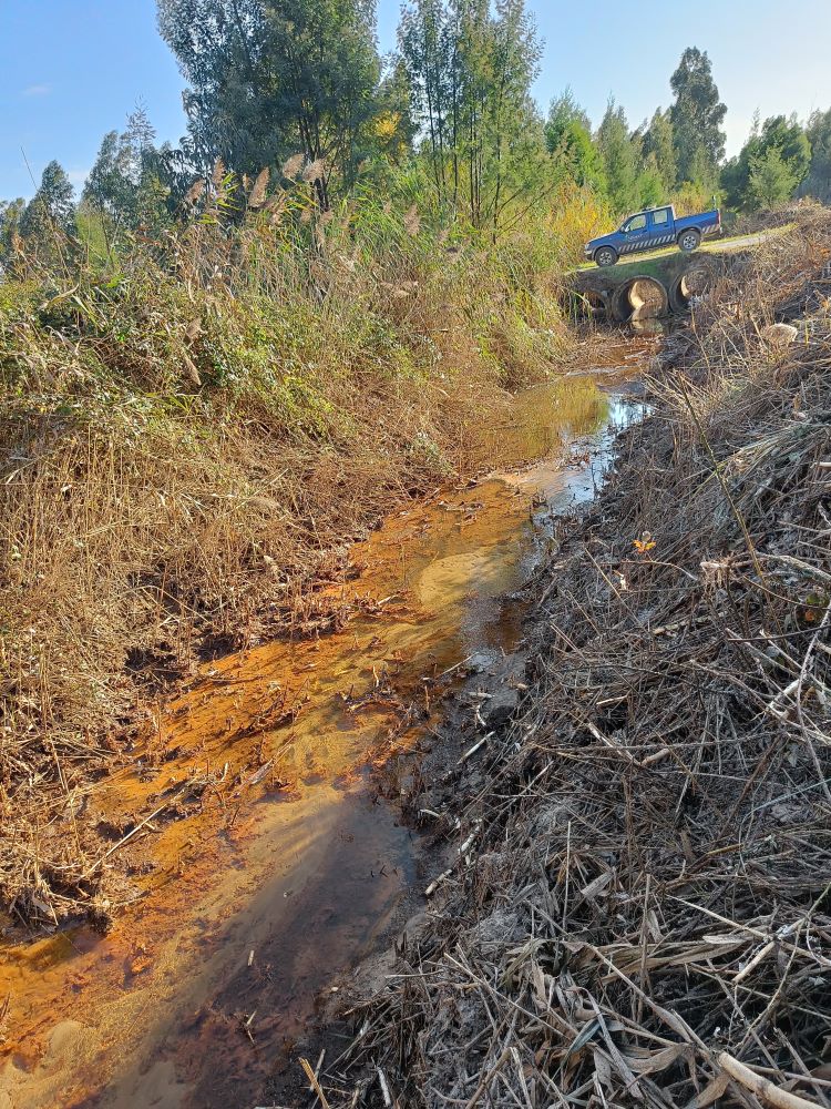 Jornal Campeão: Mira realiza operações de limpeza de valas e linhas de água
