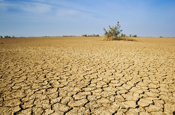 Jornal Campeão: IPMA prevê agravamento da seca em Portugal em Fevereiro