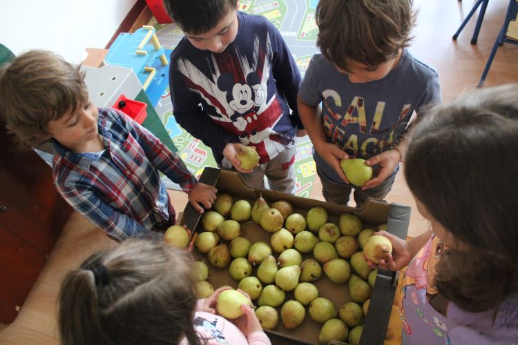 Jornal Campeão: Município de Soure promove Programa Regime de Fruta Escolar