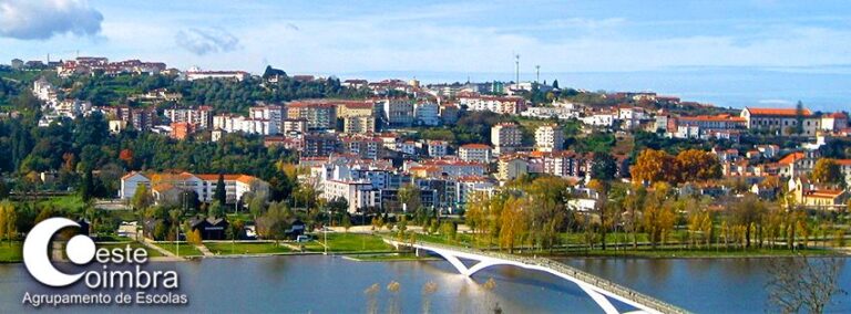 Jornal Campeão: Agrupamento de Escolas Coimbra Oeste vence concurso europeu em saúde