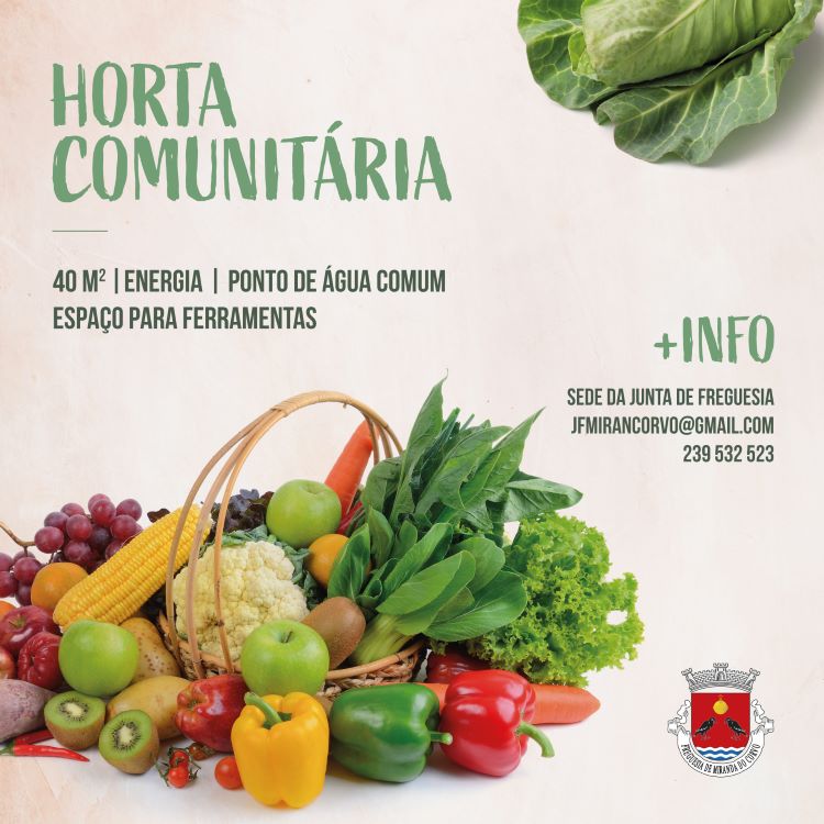 Jornal Campeão: Freguesia de Miranda do Corvo abriu inscrições para lotes na horta comunitária