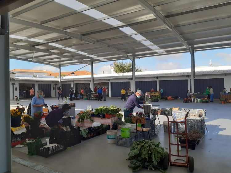 Jornal Campeão: “Vamos ao Mercado” está de volta ao Mercado Municipal de Cantanhede