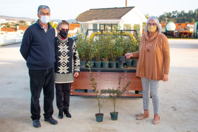 Jornal Campeão: Vila Nova de Poiares: Programa ‘A Nossa Floresta’ decorre até ao final do mês