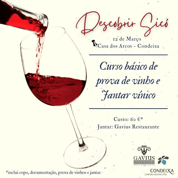 Jornal Campeão: VINISICÓ celebra 29 anos com a realização de várias actividades