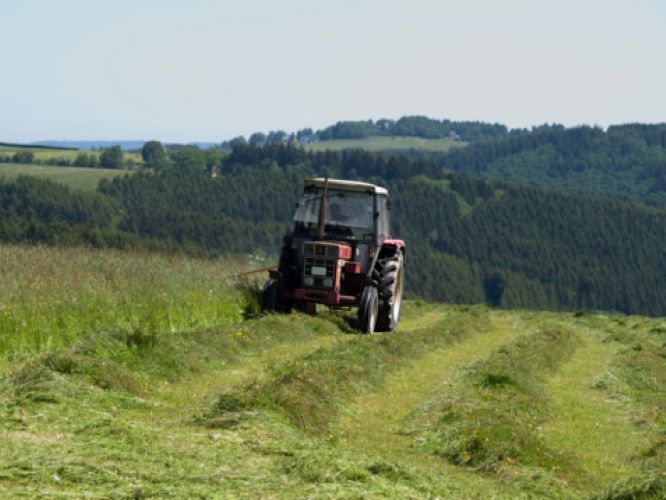 Jornal Campeão: Agricultores do Baixo-Mondego contestam aumentos brutais dos factores de produção