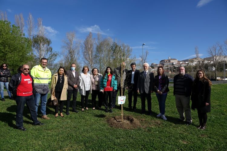 Jornal Campeão: Coimbra alerta para a importância das árvores em Dia Internacional da Floresta