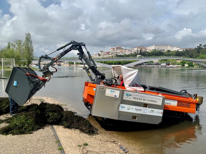 Jornal Campeão: CM Coimbra remove espécie invasora na zona aquática junto ao Parque Verde do Mondego