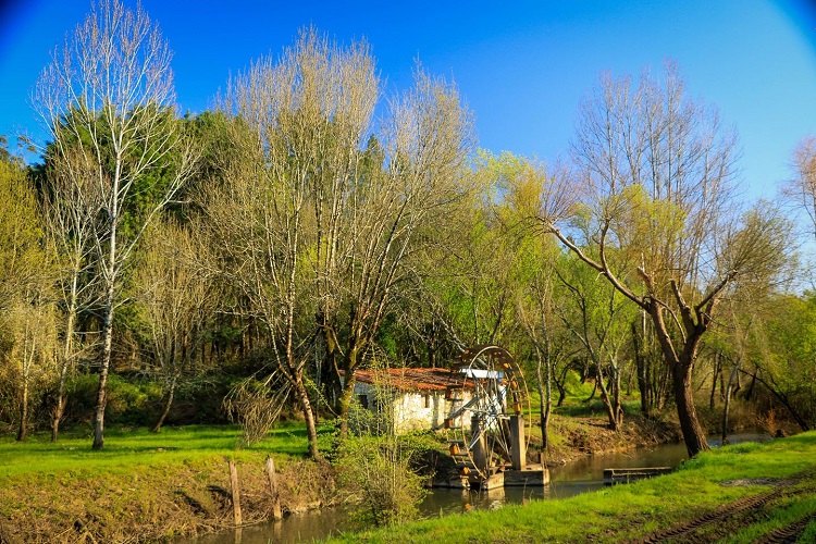 Jornal Campeão: Câmara de Coimbra preside à comissão da Reserva Natural do Paul de Arzila