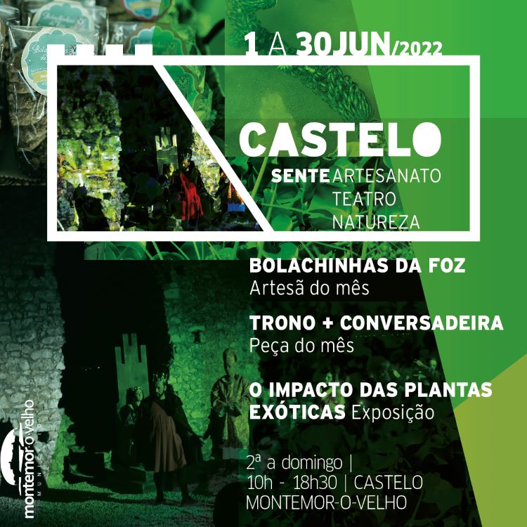 Jornal Campeão: Montemor-o-Velho: Castelo Sente promove natureza, cultura, economia local e teatro