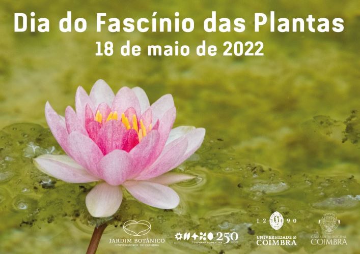 Jornal Campeão: Jardim Botânico celebra Dia Internacional do Fascínio das Plantas