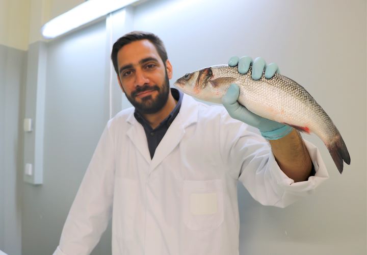 Jornal Campeão: Cientistas reutilizam sub-produto do biodiesel em rações de peixes de aquacultura