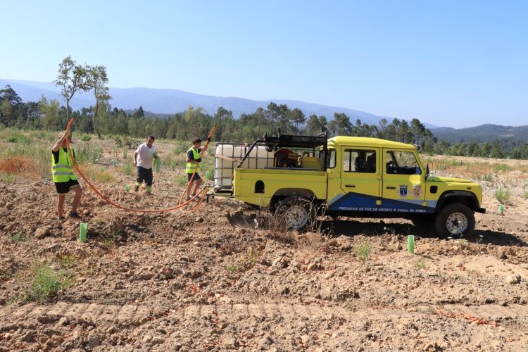 Jornal Campeão: Programa de estágios “Experimenta +” decorre até Agosto