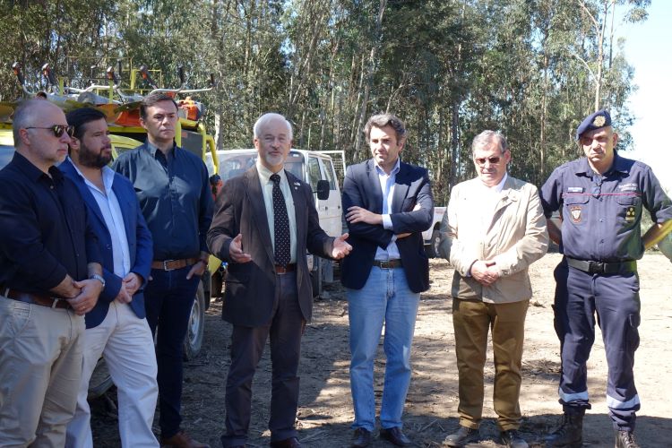 Jornal Campeão: Câmara de Coimbra notificou 500 proprietários para limparem os seus terrenos