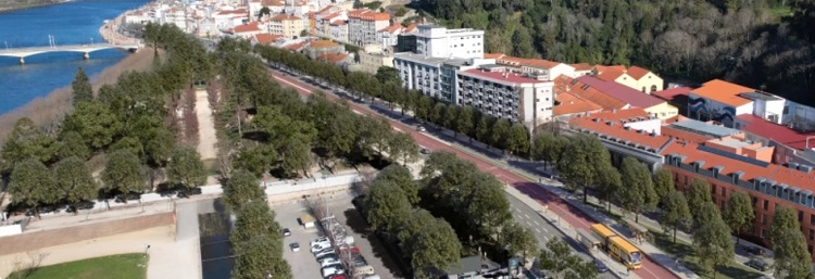 Jornal Campeão: Movimento Cidadãos por Coimbra pede que traçado do MetroBus poupe plátanos