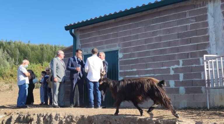 Jornal Campeão: Capril da Serra do Bidoeiro inaugurado ontem em Vila Nova de Poiares