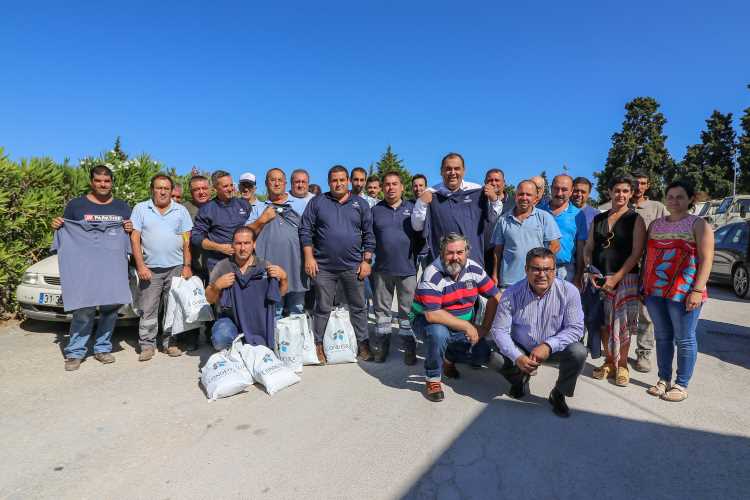 Jornal Campeão: Funcionários da Divisão de Obras da Câmara de Condeixa recebem novas fardas
