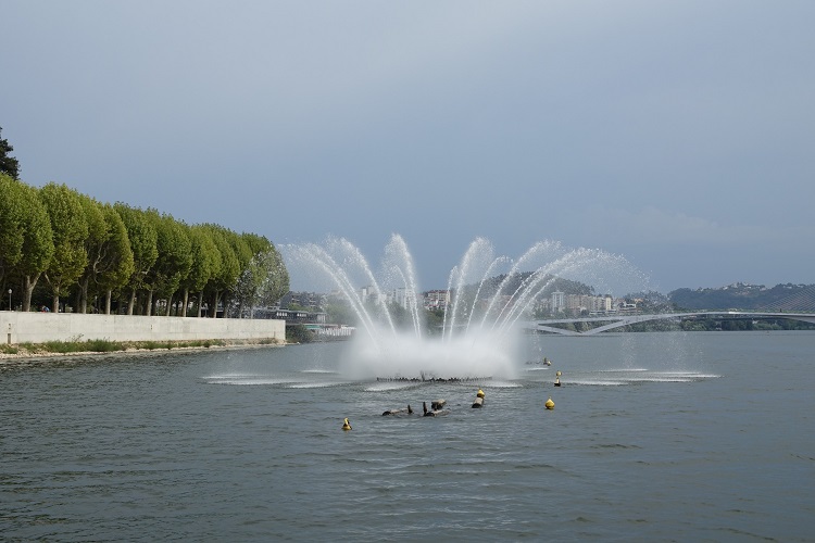 Jornal Campeão: Coimbra ilumina fonte cibernética do Mondego para assinalar o Dia da Dislexia