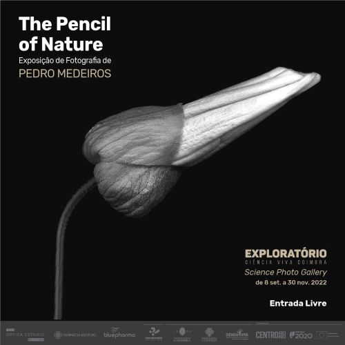 Jornal Campeão: Coimbra: Pedro Medeiros expõe fotografias no Exploratório