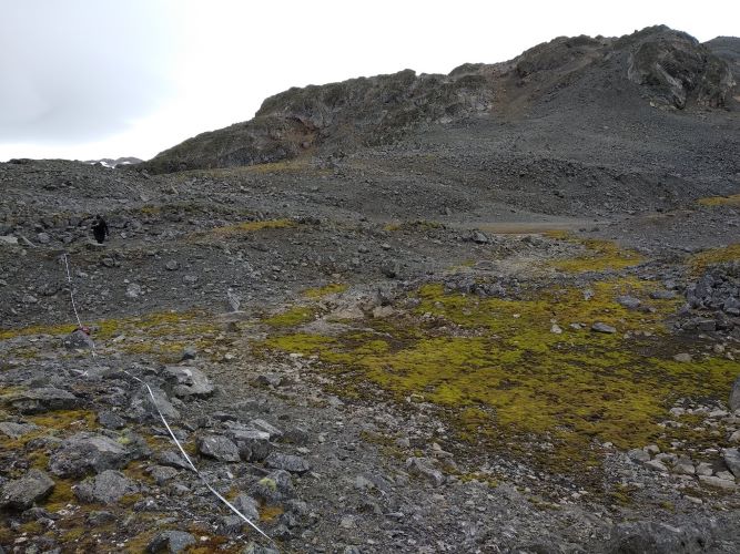 Jornal Campeão: Hotspots’ globais para conservação da natureza do solo estão mal protegidos