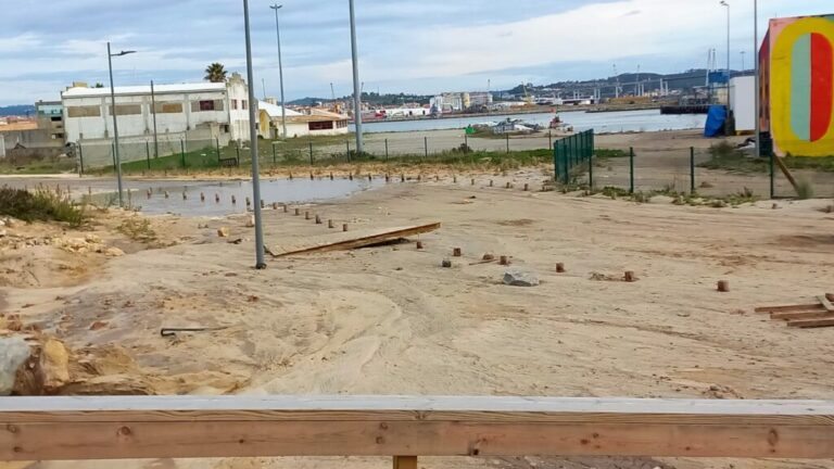 Jornal Campeão: Câmara da Figueira da Foz ergue barreira de areia para proteger praia do Cabedelo