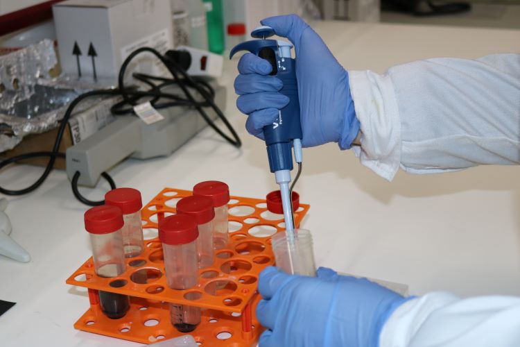 Jornal Campeão: Cientistas desenvolvem processo inovador para reciclar resíduos de painéis solares