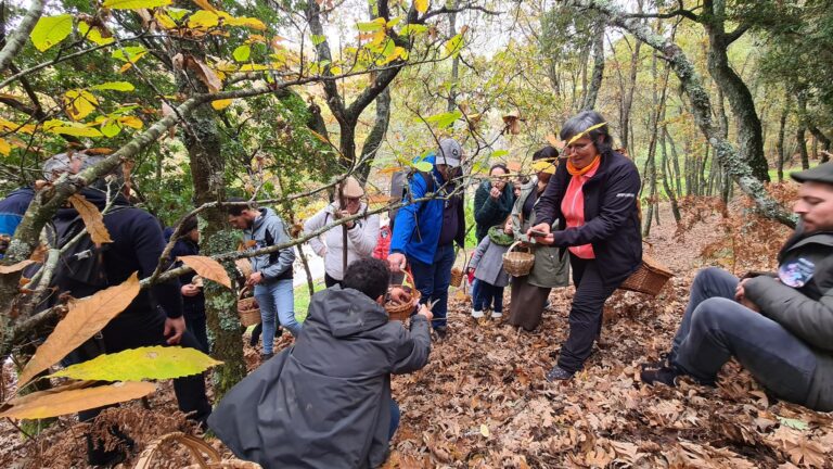 Jornal Campeão: Biofestival de Outono anima Ferraria com petiscos e workshops de produtos locais