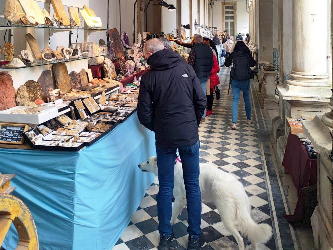 Jornal Campeão: UC acolhe a partir de amanhã a Feira Internacional de Minerais, Gemas e Fósseis